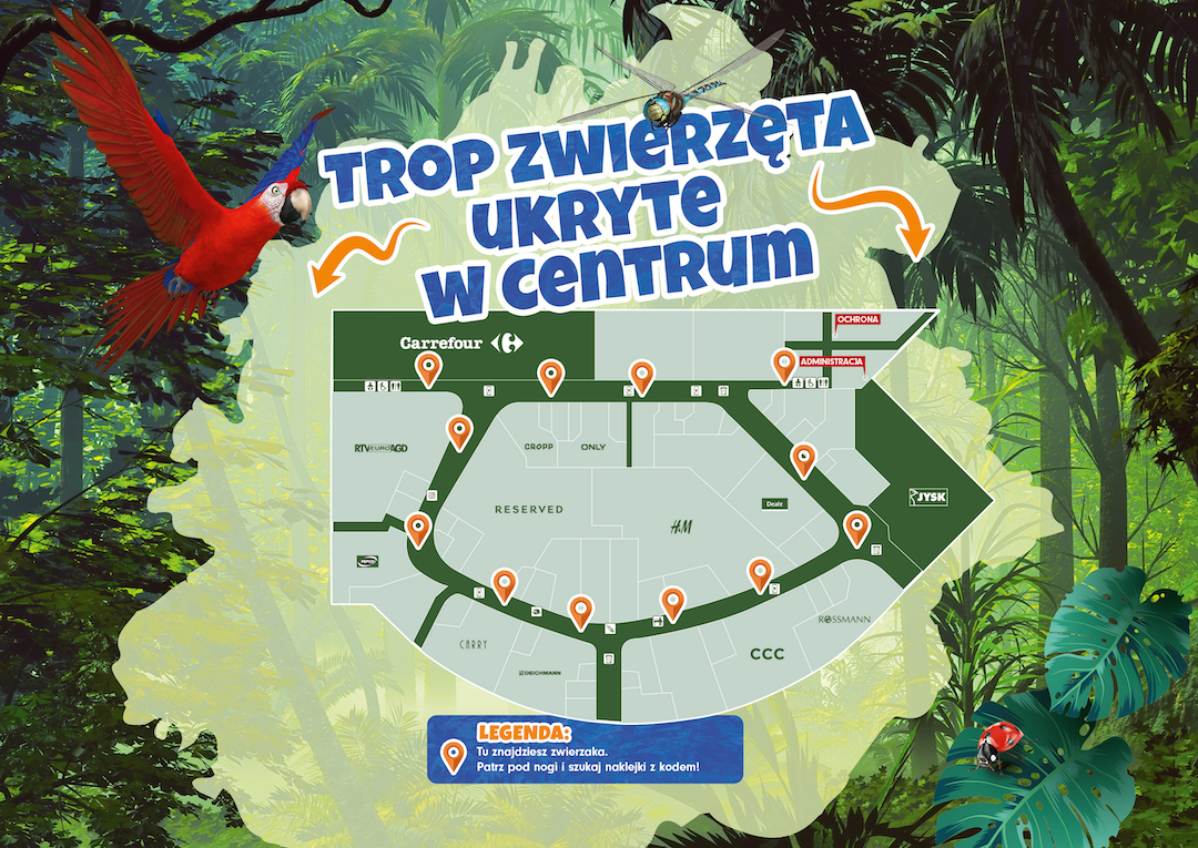 Kolorowe centrum świata