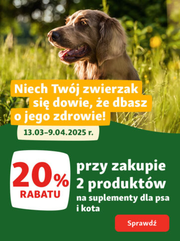Zdrowie pupila – 20% rabatu