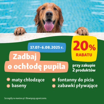 Pamiętaj o zwierzętach latem – wakacyjny niezbędnik pupila.