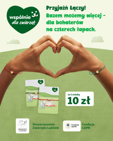 Akcja charytatywna Maxi Zoo