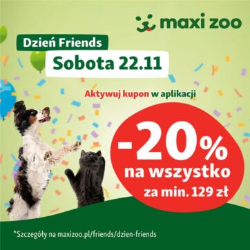 Wielka promocja 20% w dniu 22.11.!