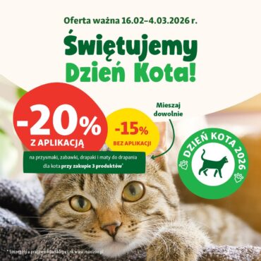 Promocja na Dzień Kota